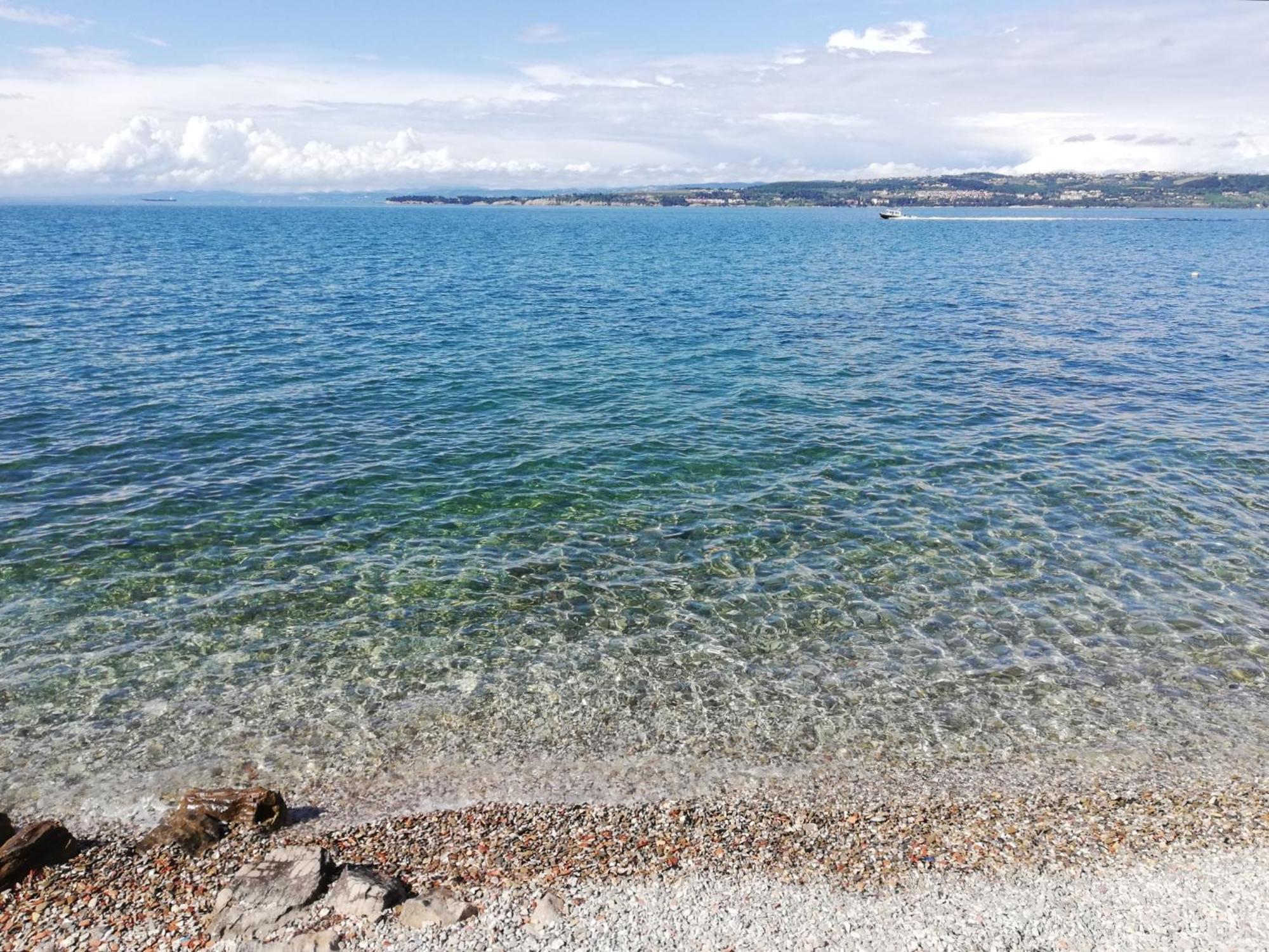 Vila Flori Koper Buitenkant foto